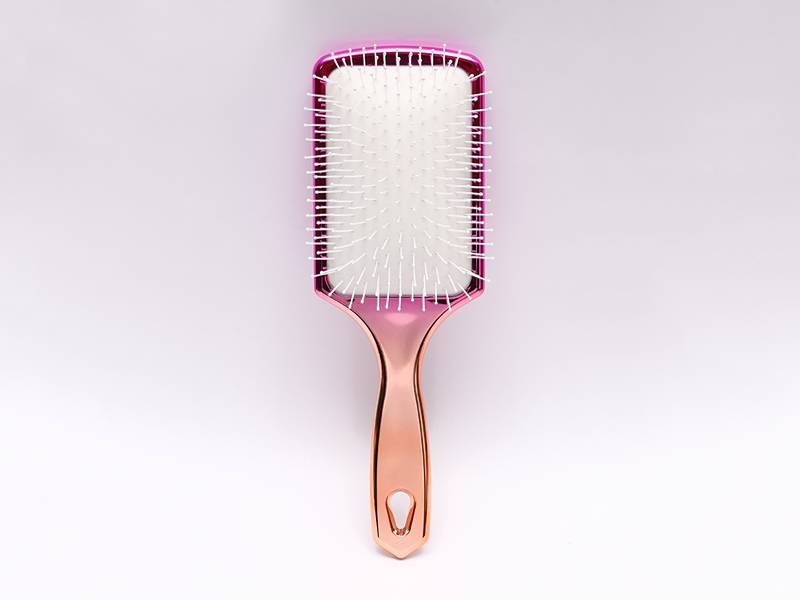 Complicandi Gradiente Color Paddle Hair Peniculus