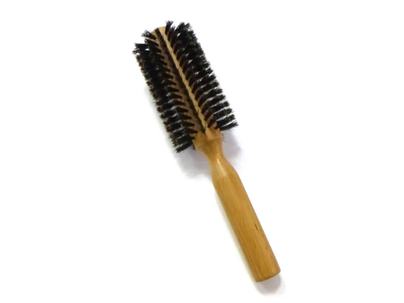 Bamboo palpate Aprum seta Suspendisse Erigens Hair Peniculus