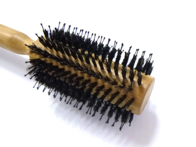 Bamboo palpate Aprum seta Suspendisse Erigens Hair Peniculus
