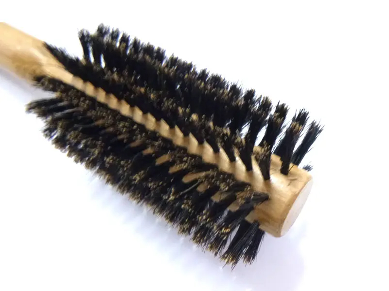 Bamboo palpate Aprum seta Suspendisse Erigens Hair Peniculus