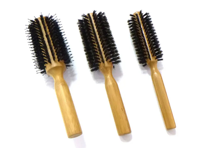 Bamboo palpate Aprum seta Suspendisse Erigens Hair Peniculus