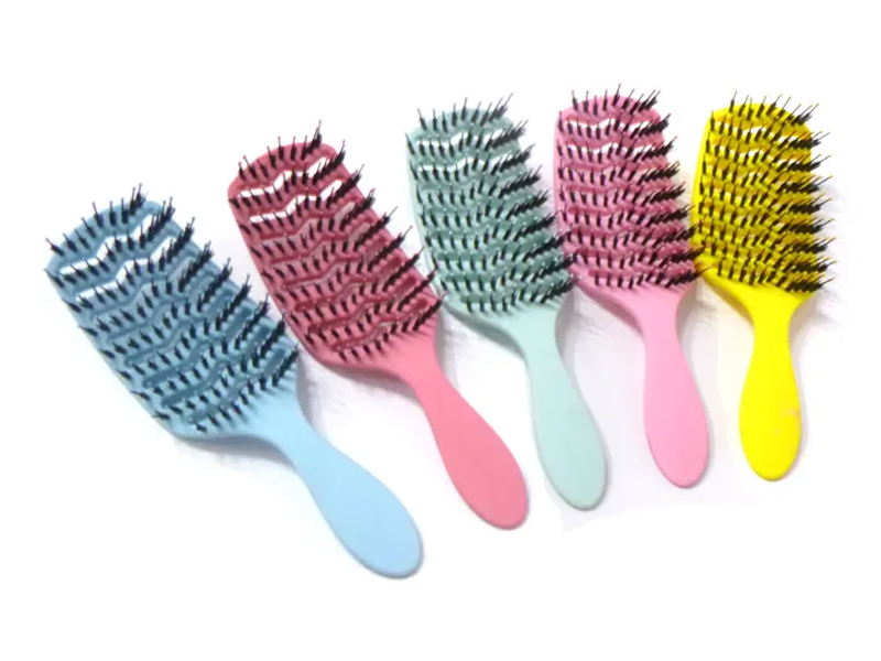 Complicandi Hair Peniculus setis