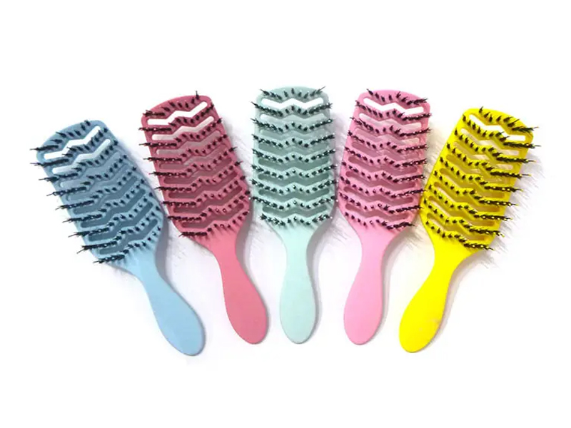 Complicandi Hair Peniculus setis