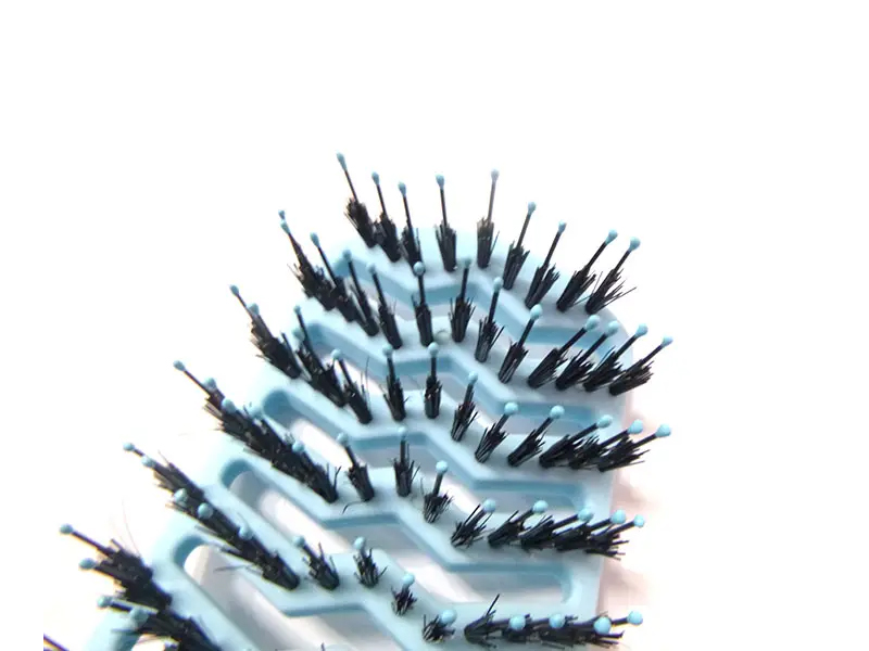 Complicandi Hair Peniculus setis