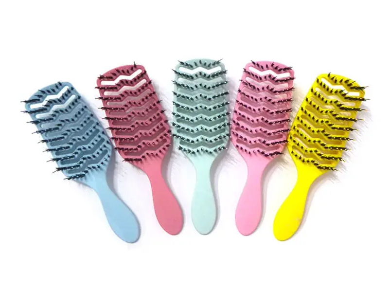 Curva Vent Paddle Hair Tractus Peniculus