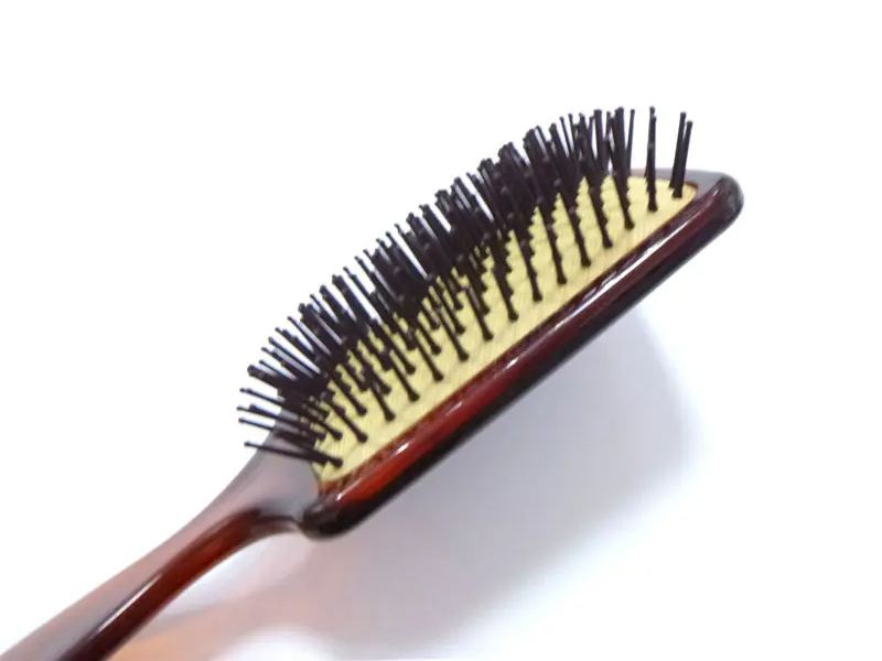 Amber Complicandi Hair Peniculus